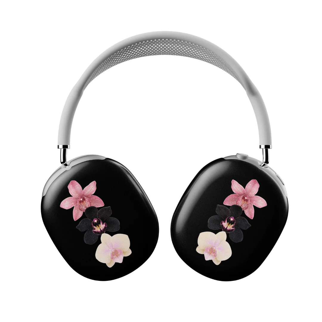 Raven AirPod Max Case